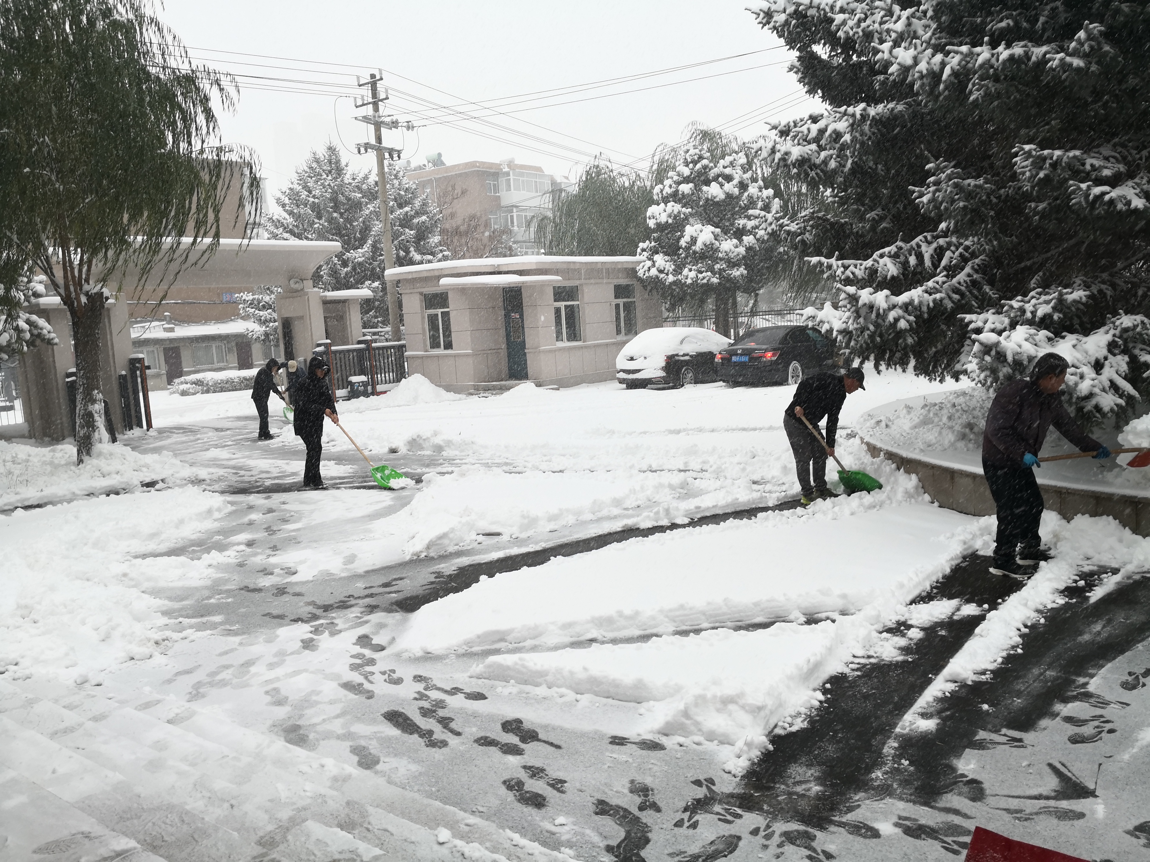 闻雪而动  除雪防滑(图1)