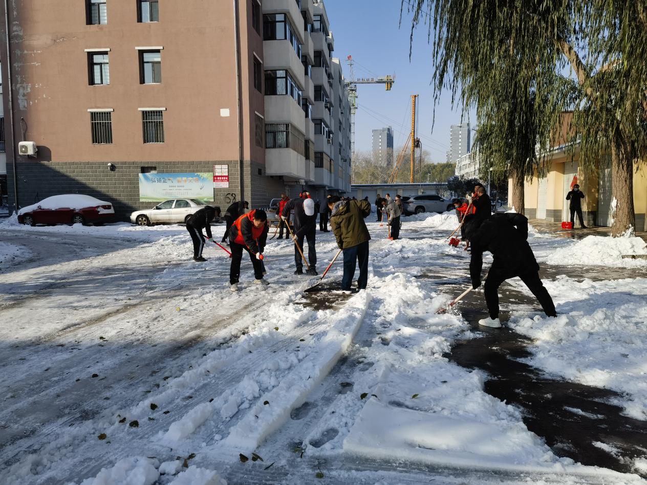 主题教育记心中  扫雪破冰保畅行 立足本职做贡献  党旗飘扬别样红(图1) 主题教育记心中  扫雪破冰保畅行 立足本职做贡献  党旗飘扬别样红(图1)