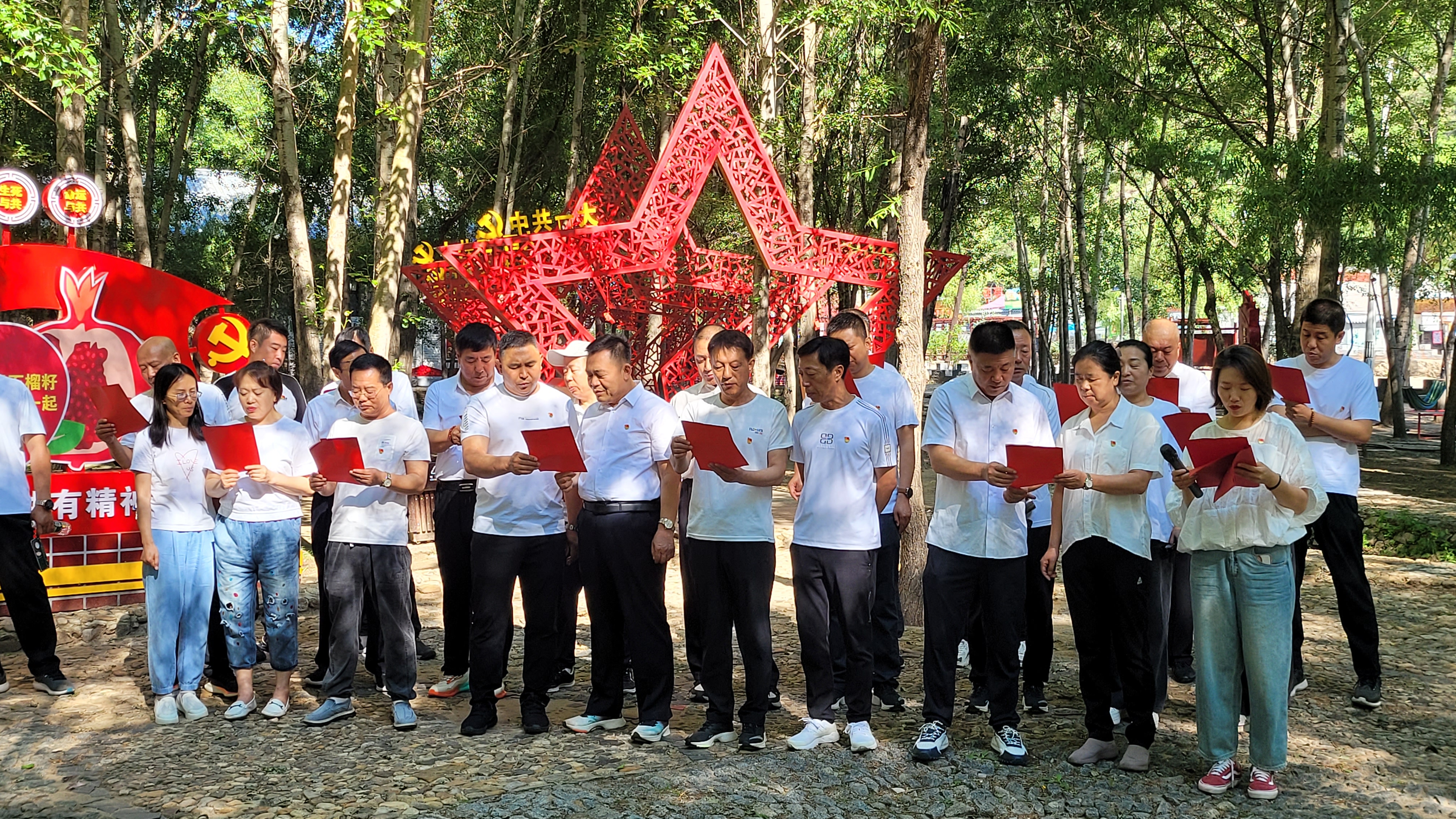 公司机关综合党支部平庄分公司党委、开展联合主题党日活动(图3)