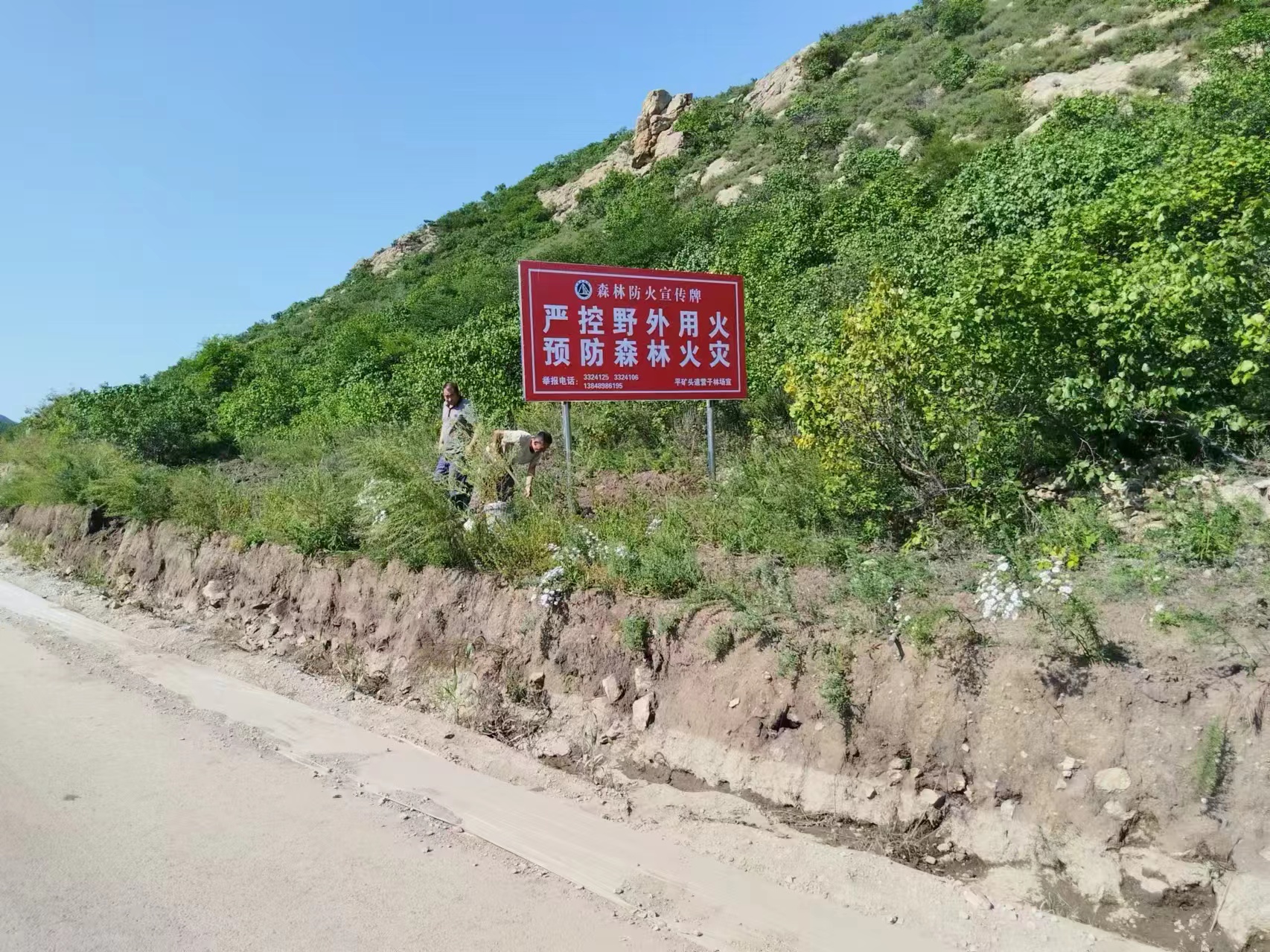 林业处多措并举抓好国庆期间森林防火工作(图2)