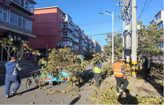 清理树枝障碍,守护用电安全(图1) 清理树枝障碍,守护用电安全(图1)