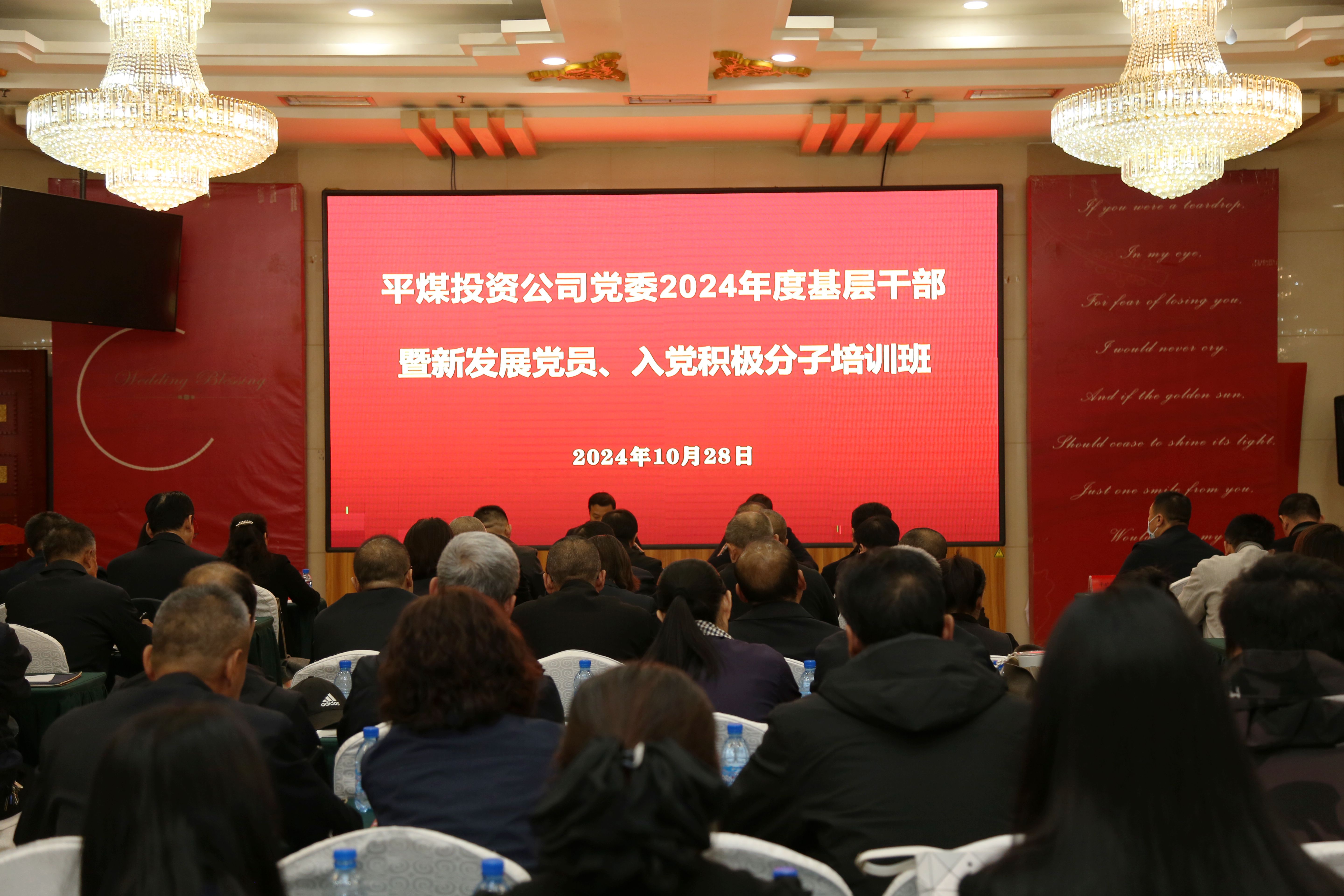 党建引领聚合力 培训赋能促发展(图1)