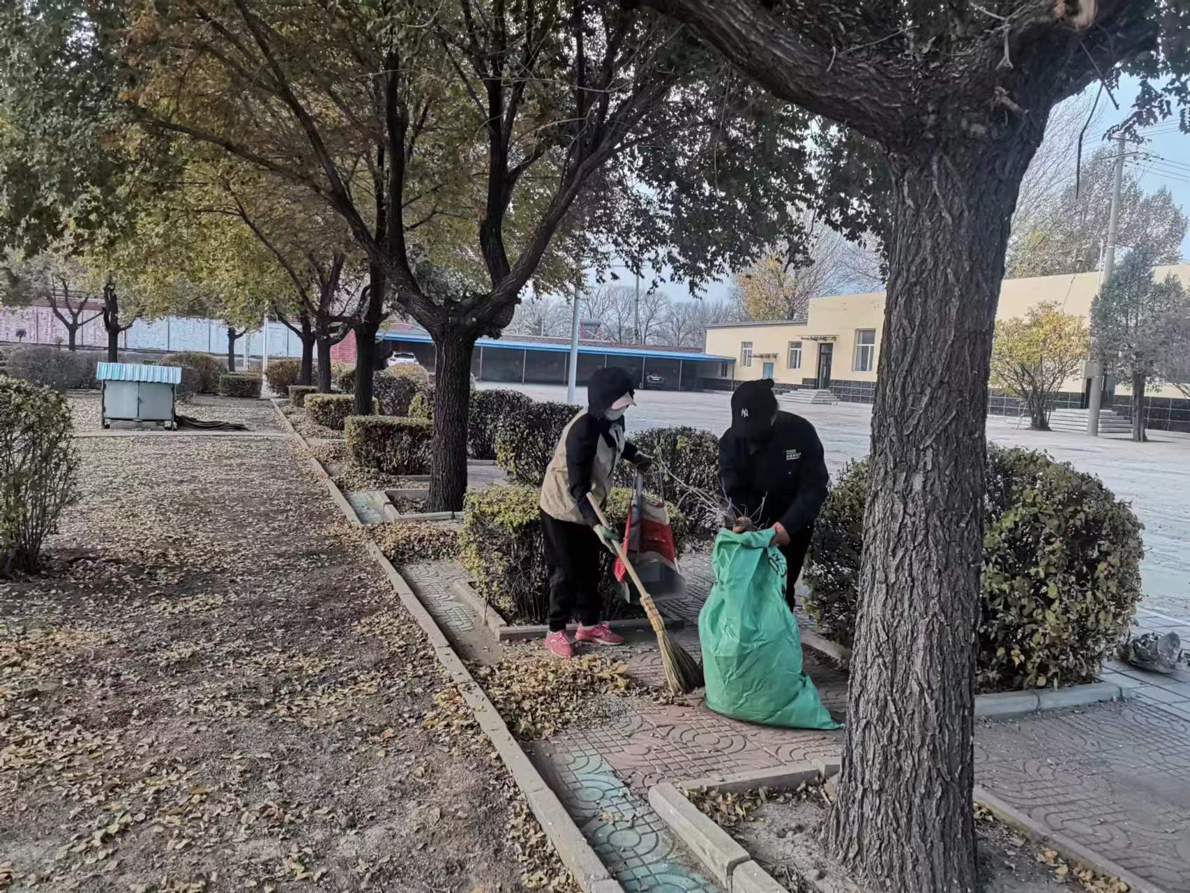 西露天分公司加大清扫落叶力度切实维护好辖区人居环境(图1)