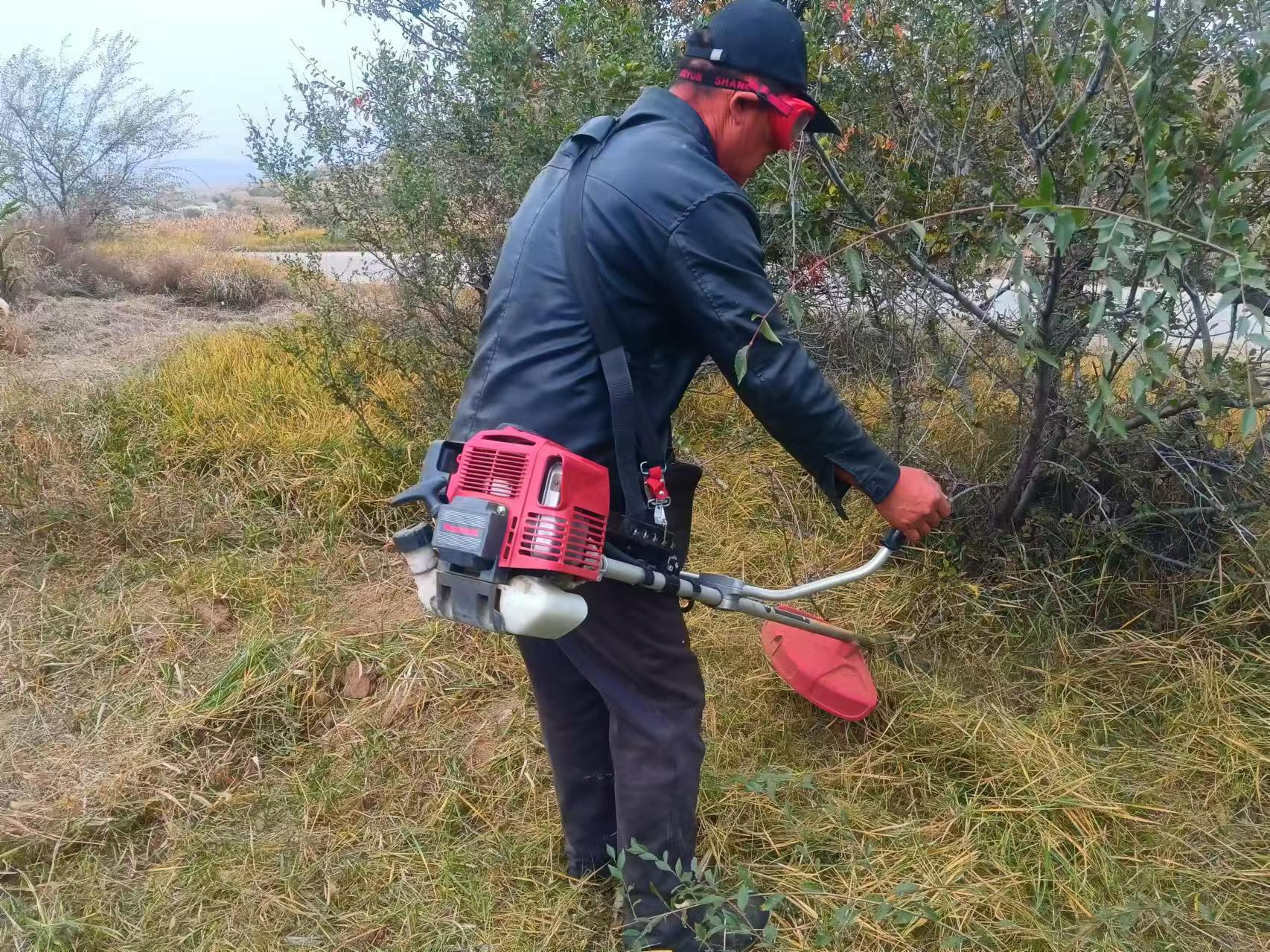 清杂草 除隐患(图1)