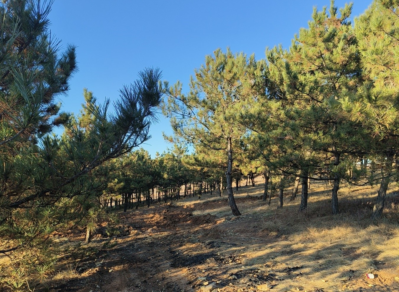 还林于生态(图4) 还林于生态(图4)