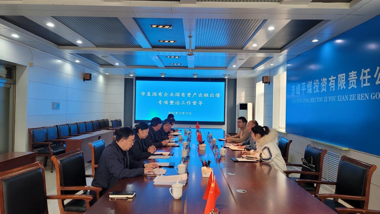 市国资委纪检监察组组长杨希东到平煤投资公司对市直国有企业国有资产出租出借专项整治工作进行督导(图1)