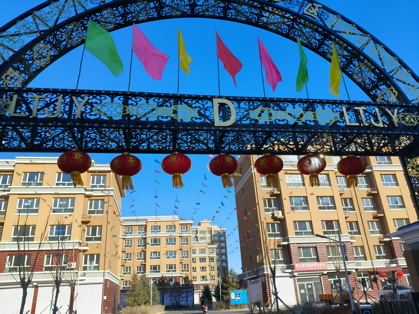 张灯结彩迎新春，家苑洋溢幸福年(图1)