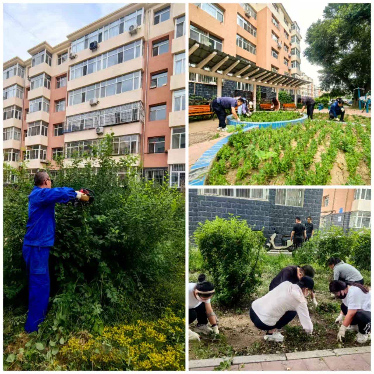 红心向党践行动 永葆本色守初心(图2)