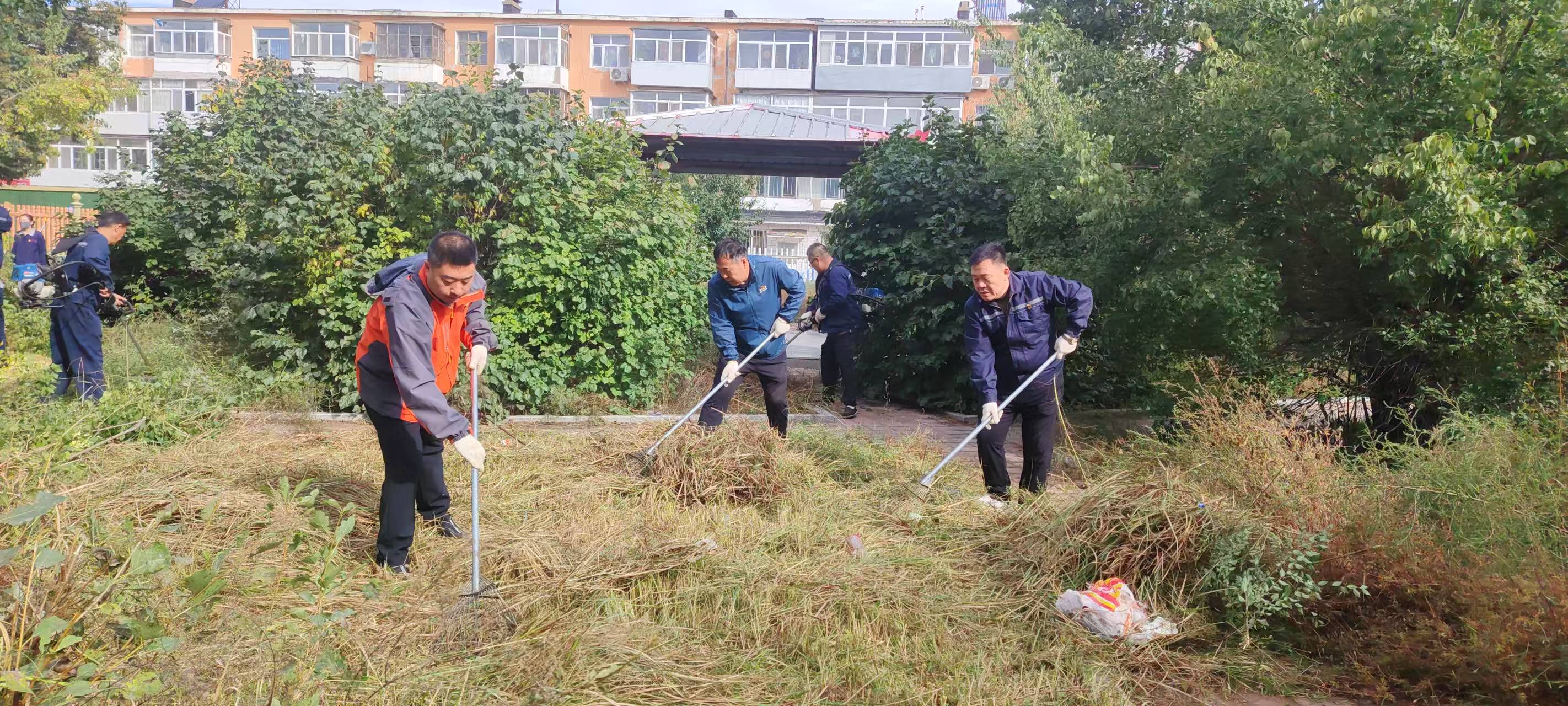 作风建设见成效 公园旧貌焕新颜(图1)