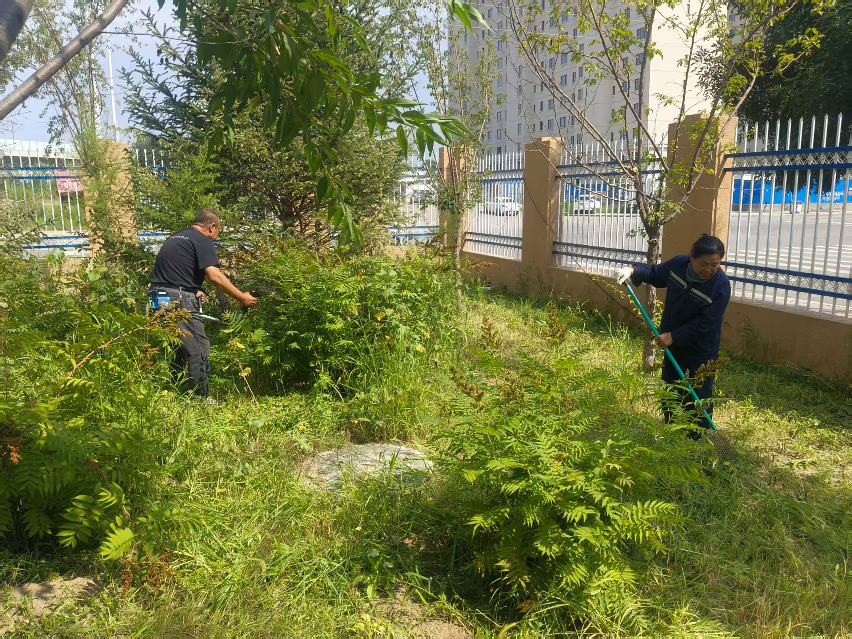 迎双节金秋十月，家国同庆(图2)