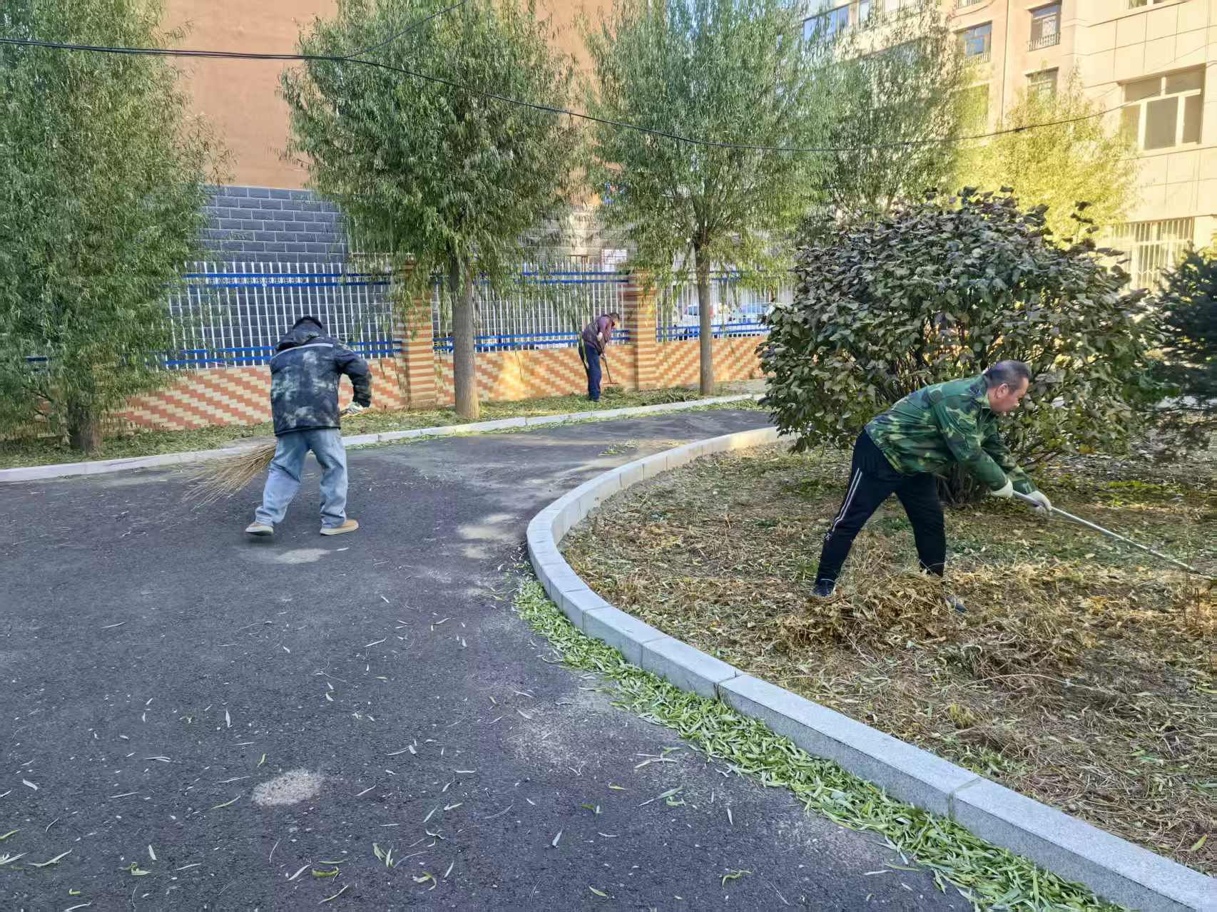 林业处党委开展院落清洁行动 以实干强作风(图2) 林业处党委开展院落清洁行动 以实干强作风(图2)