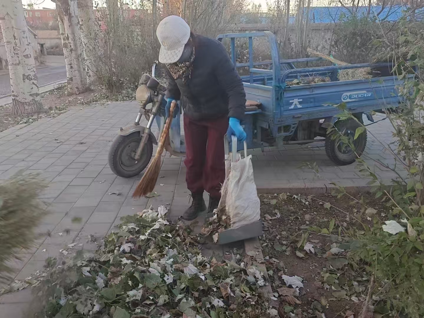 全力打好秋冬交替落叶清理“攻坚战”筑牢消防安全防线(图2)