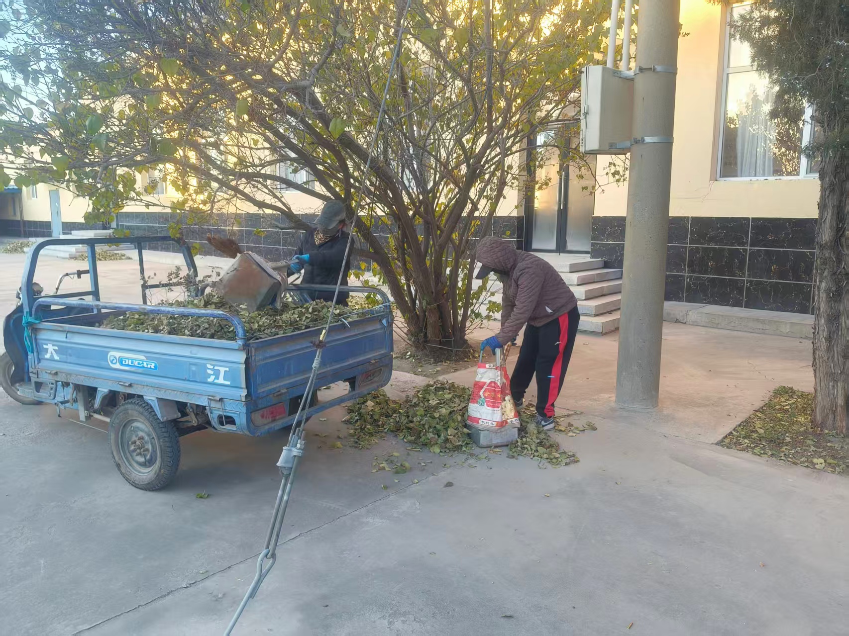 全力打好秋冬交替落叶清理“攻坚战”筑牢消防安全防线(图3)