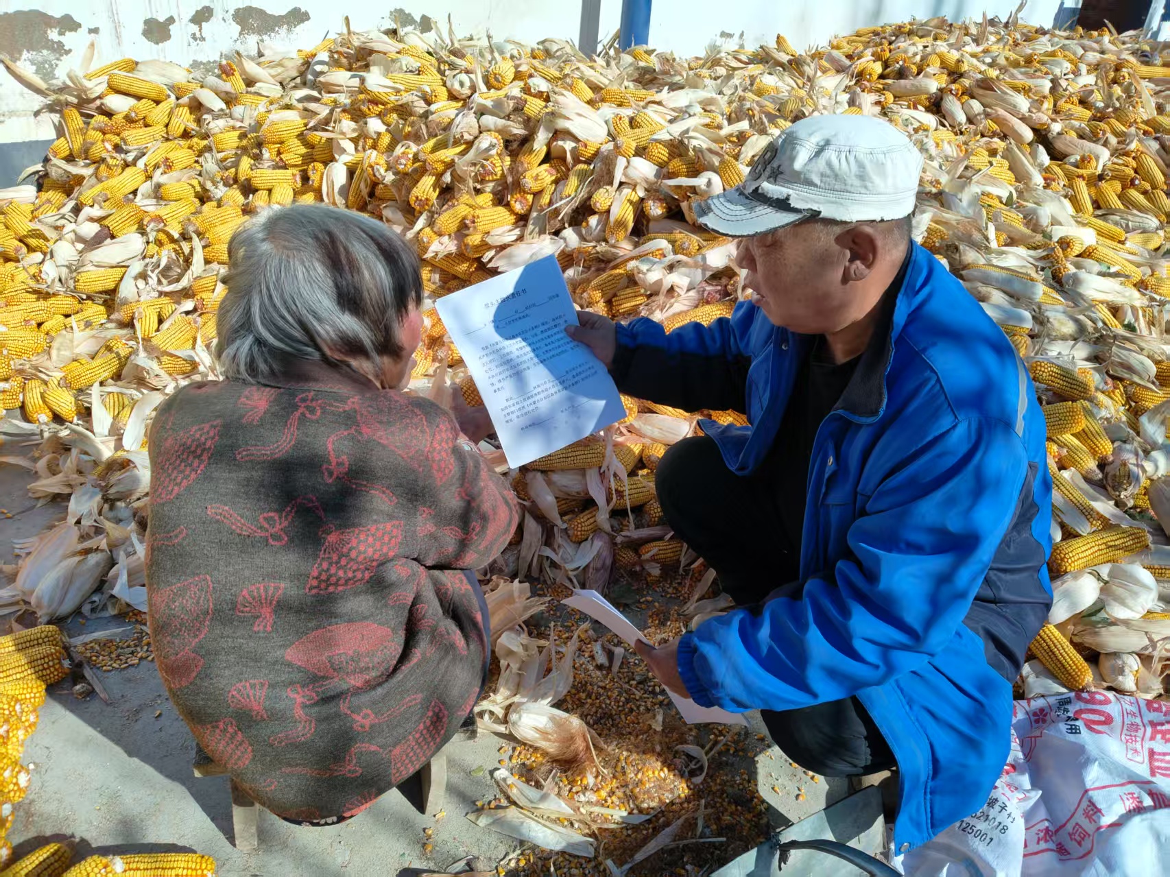 守万顷“生态绿” 筑冬春“防火屏”(图2) 守万顷“生态绿” 筑冬春“防火屏”(图2)