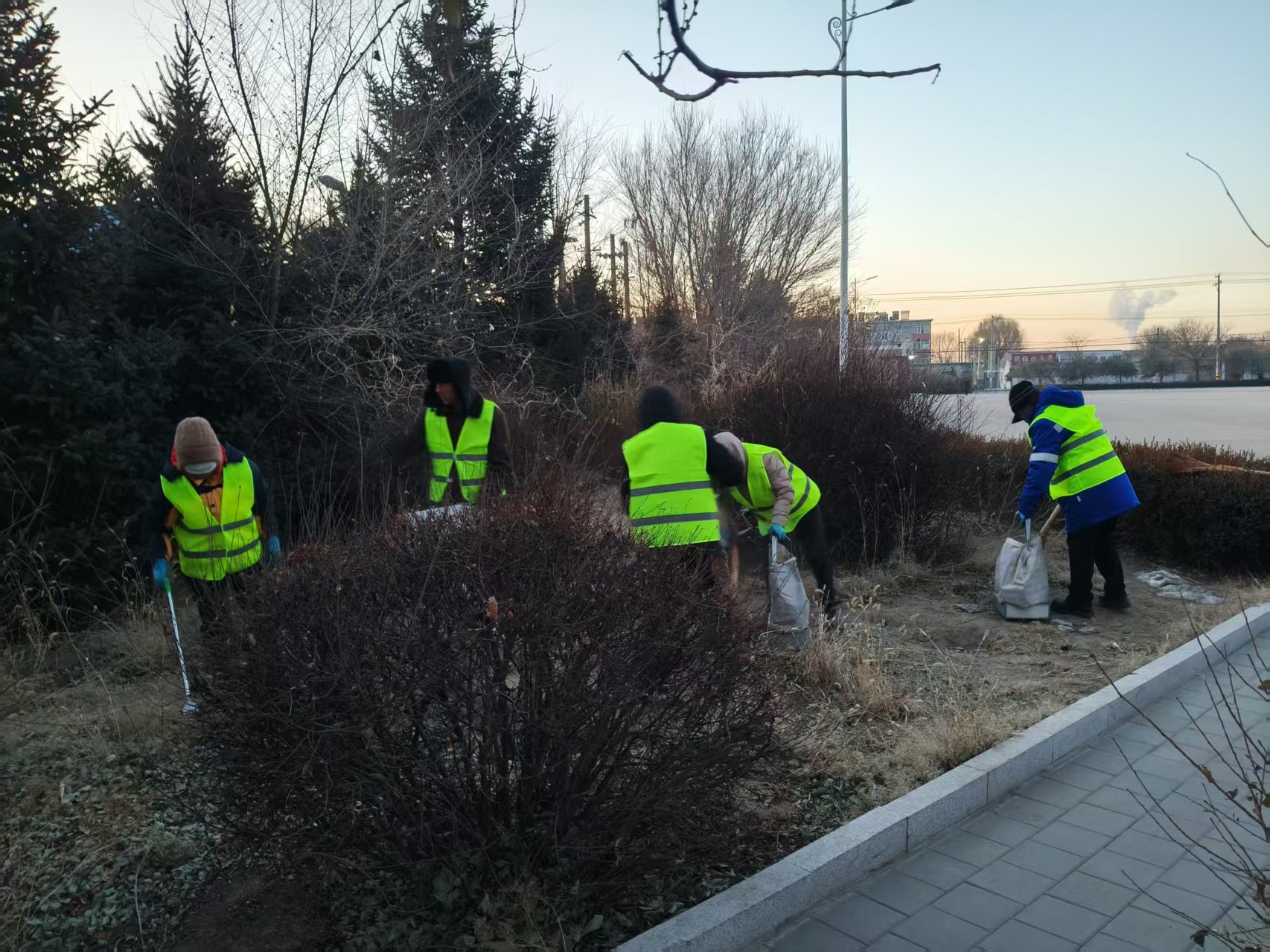 年末绿化清扫整治全面启动切实维护辖区人居环境(图1)