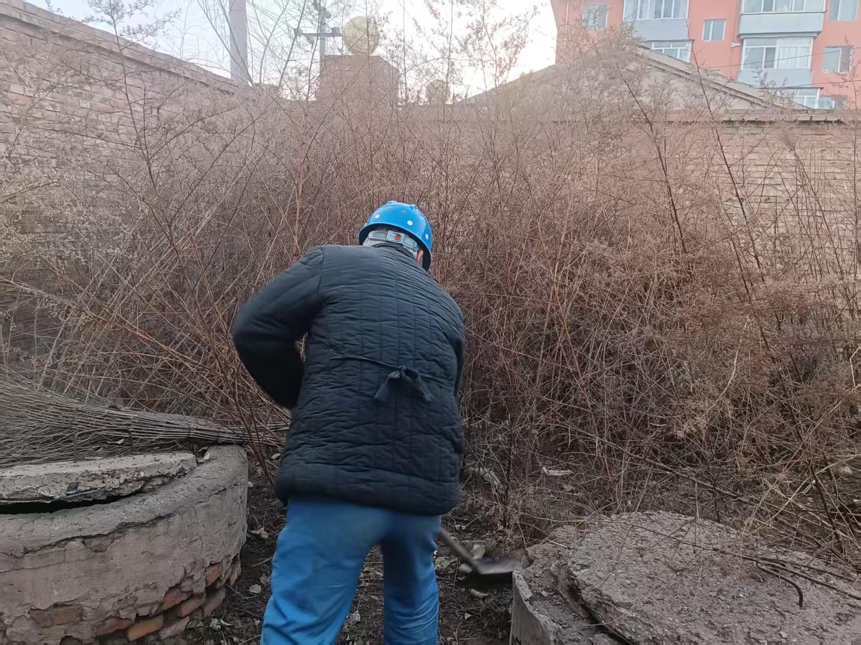 清除杂草隐患 筑牢消防安全防线(图1)