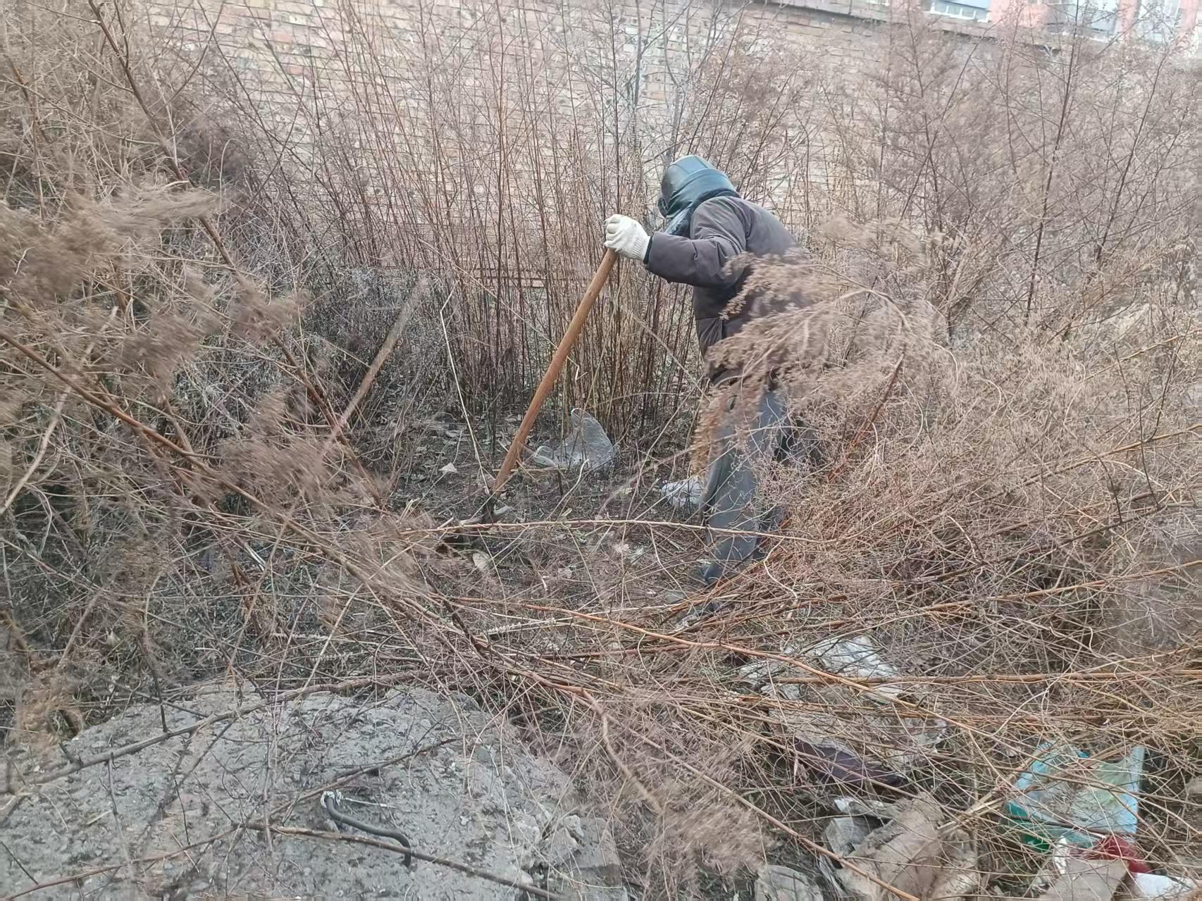 清除杂草隐患 筑牢消防安全防线(图2)