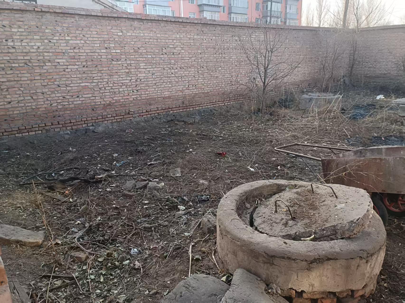 清除杂草隐患 筑牢消防安全防线(图3)