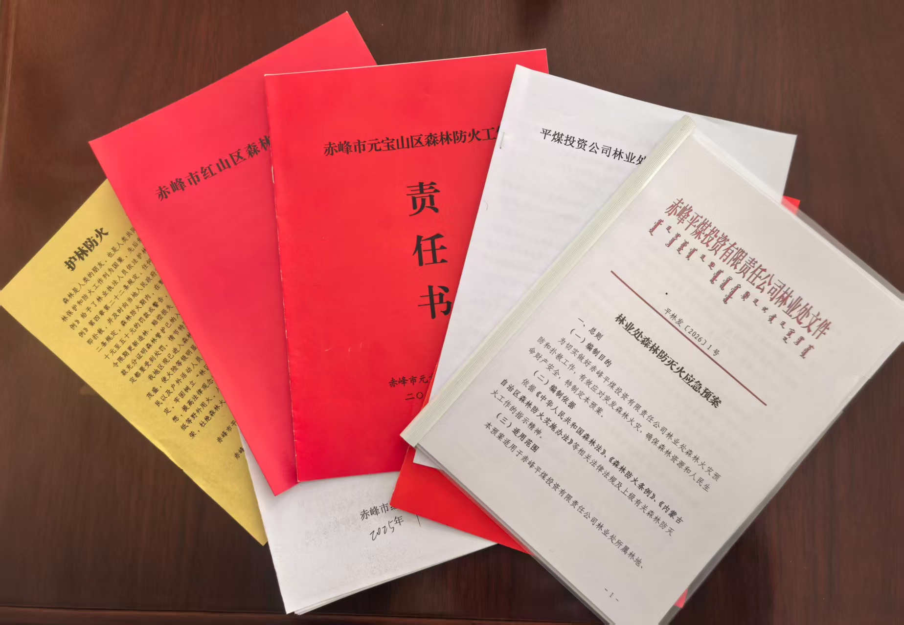 紧绷防火“安全弦”织密山林“防护网”(图1)