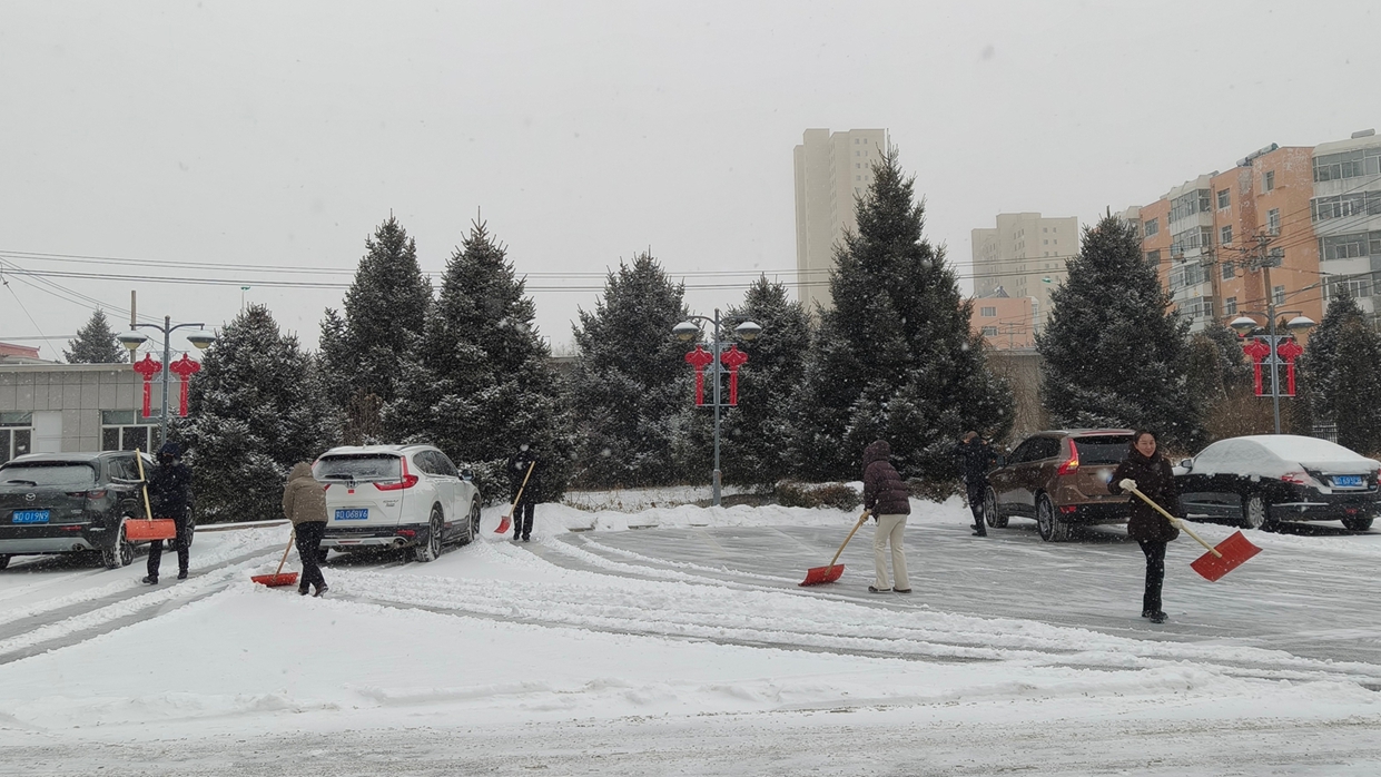 以雪为令保畅通 雷锋精神践于行(图2)