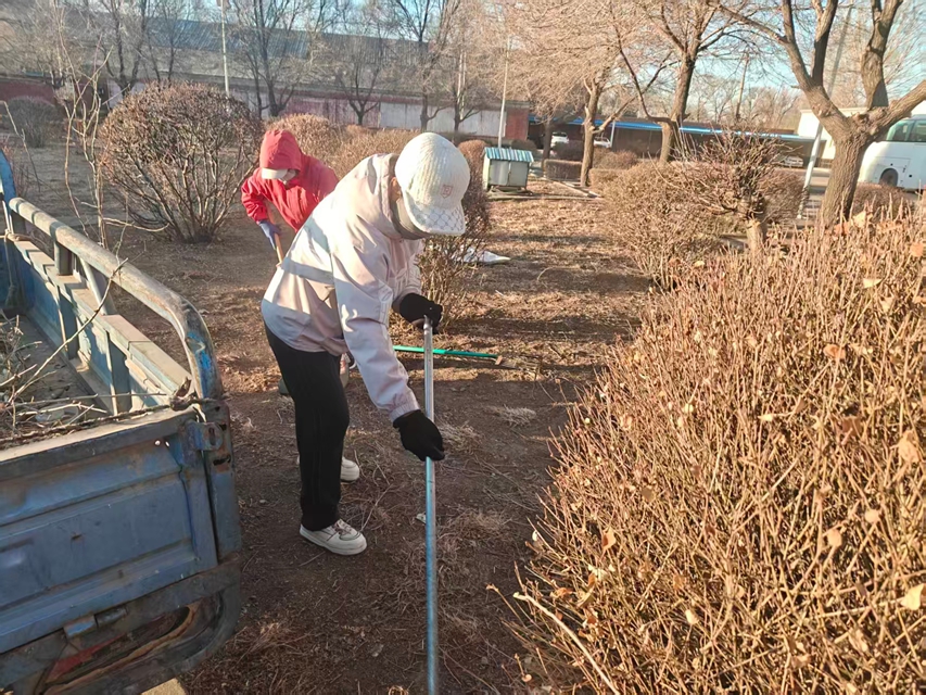 西露天分公司绿化班全面开展春季灌木绿植养护工作(图2) 西露天分公司绿化班全面开展春季灌木绿植养护工作(图2)