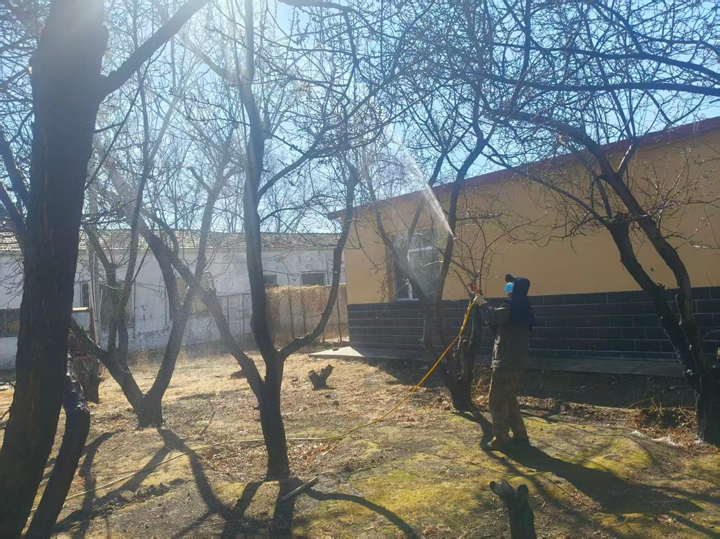 西露天分公司绿化班扎实开展春季果树绿植病虫害防治工作(图1) 西露天分公司绿化班扎实开展春季果树绿植病虫害防治工作(图1)