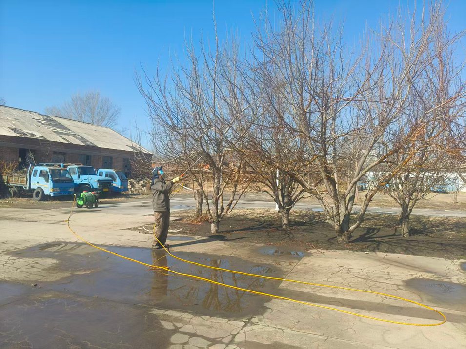 西露天分公司绿化班扎实开展春季果树绿植病虫害防治工作(图2) 西露天分公司绿化班扎实开展春季果树绿植病虫害防治工作(图2)