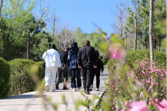 登高赏春聚合力 砥砺奋进促发展(图2)