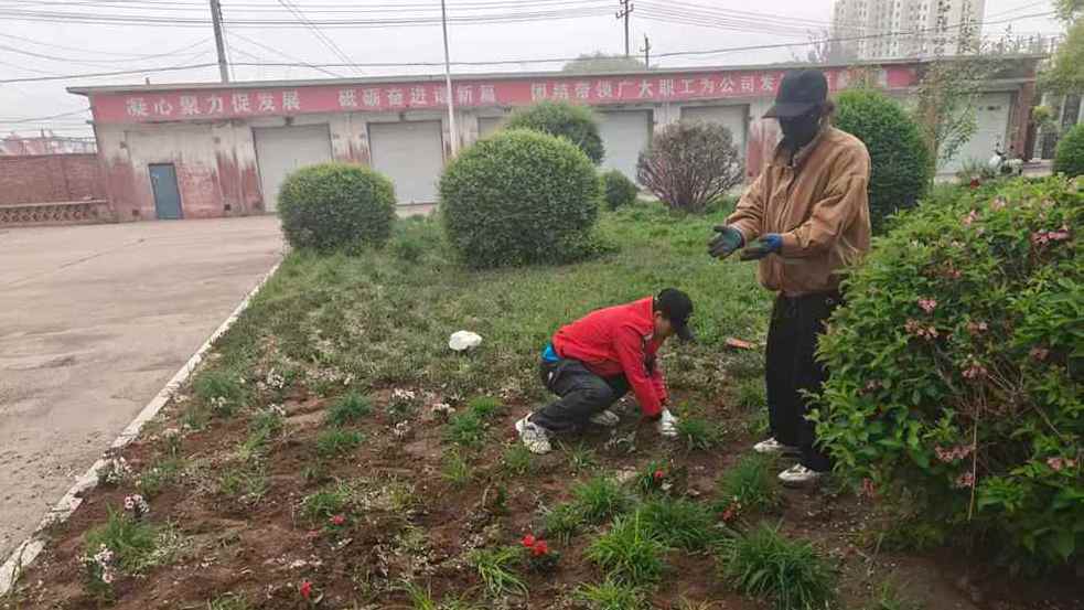 西露天分公司绿化班开展绿地补栽行动(图2) 西露天分公司绿化班开展绿地补栽行动(图2)