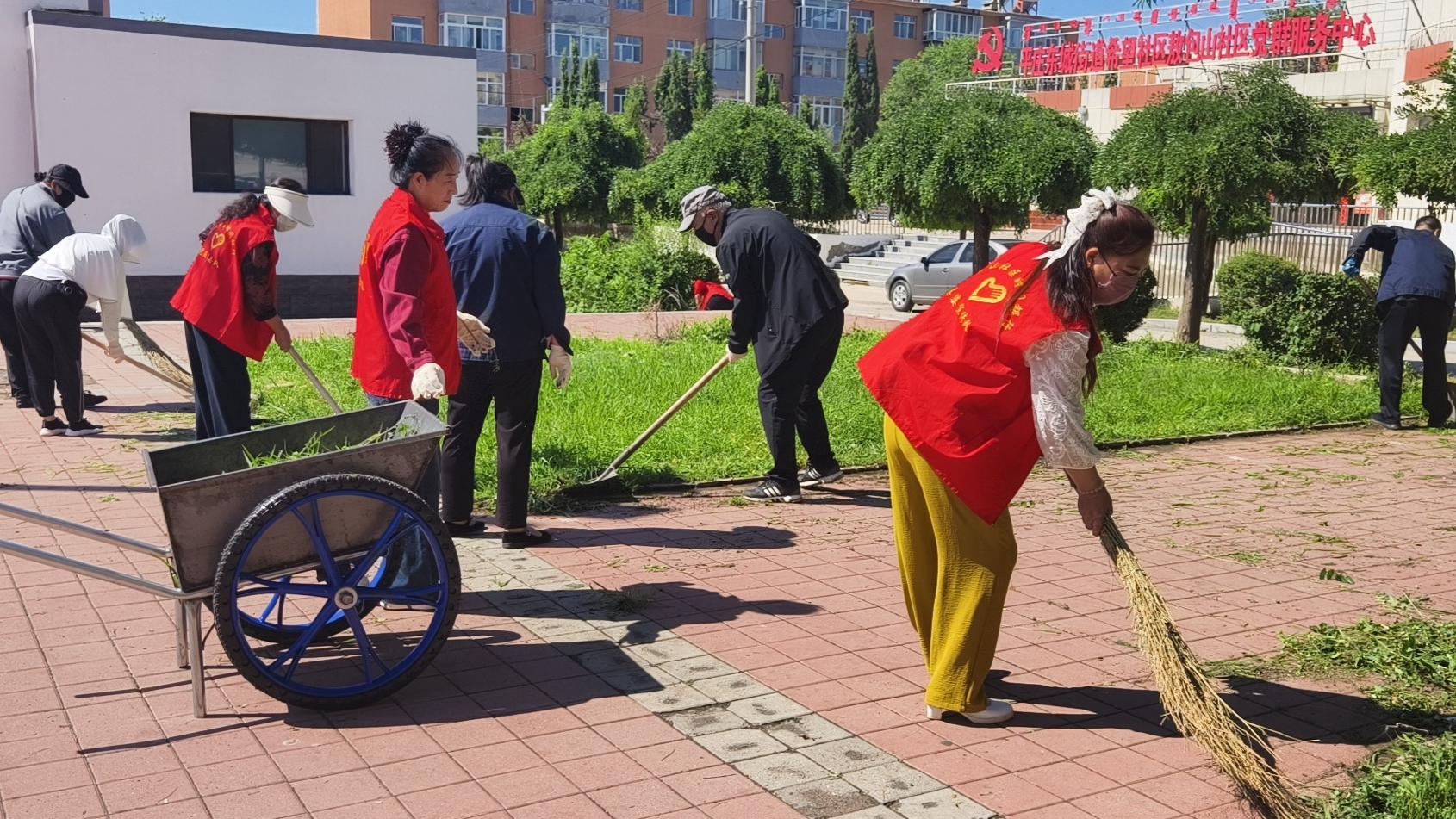 党旗领航践初心 志愿先锋迎华诞(图3)