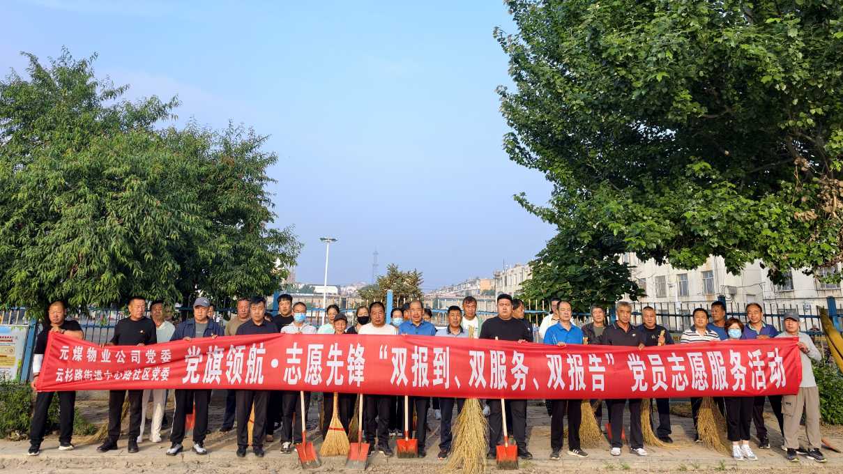 党旗领航践初心 志愿先锋美矿区(图1)